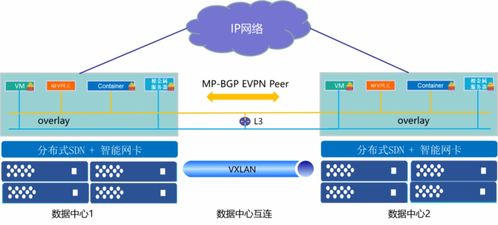 智能網卡在分布式SDN網絡中的應用與實踐 以龍蜥技術為例的探索