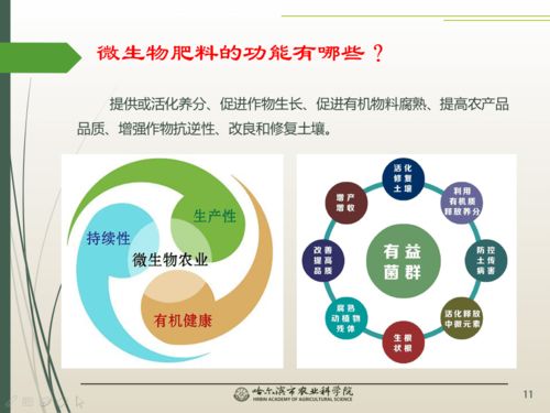 春風(fēng)吹沃野 科技助農(nóng)線上課堂之微生物與農(nóng)業(yè)百問(wèn)百答